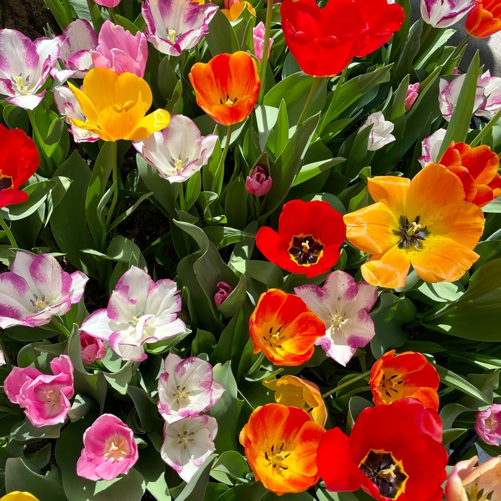 Meet your Posher, Gabriella